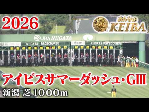 【アイビスサマーダッシュ・GⅢ】アイビスSD 新潟 芝 1000m 2026 レース  【みんなのKEIBA】