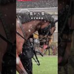 小雪から雪へ｜東京競馬場 #競馬 #現地映像 #東京競馬場 #雪 #glay