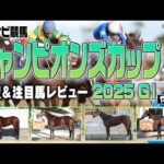 【競馬】チャンピオンズカップの中京ダートは内枠・逃げ先行が有利！妙味アリの注目馬は？ナルカミ ダブルハートボンド ウィルソンテソーロ アウトレンジ オメガギネス など【レース展望／スポナビ競馬】