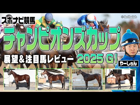 【競馬】チャンピオンズカップの中京ダートは内枠・逃げ先行が有利！妙味アリの注目馬は？ナルカミ ダブルハートボンド ウィルソンテソーロ アウトレンジ オメガギネス など【レース展望／スポナビ競馬】