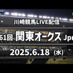 【第3回開催】川崎競馬パドック解説付きLIVE(2025年6月18日)第61回関東オークスJpnⅡ