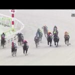 今インターネットで話題の大井競馬での秋元騎手の八百長が競馬関係者にバレて処罰される件/ ⑦ビップライアン 秋元騎手/最後の直線でムチも打たないし追いもしない/故意敗退/20260429大井競馬5レース