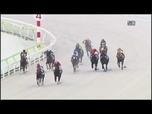 今インターネットで話題の大井競馬での秋元騎手の八百長が競馬関係者にバレて処罰される件/ ⑦ビップライアン 秋元騎手/最後の直線でムチも打たないし追いもしない/故意敗退/20260429大井競馬5レース