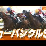【レース映像】中山11R カーバンクルステークス｜ウイングレイテスト（松岡正海）｜ウイニング競馬