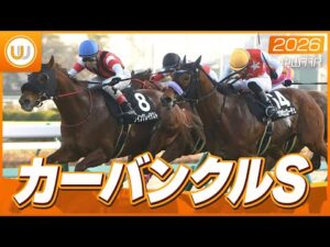 【レース映像】中山11R カーバンクルステークス｜ウイングレイテスト（松岡正海）｜ウイニング競馬