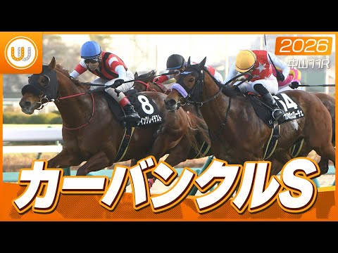 【レース映像】中山11R カーバンクルステークス｜ウイングレイテスト（松岡正海）｜ウイニング競馬