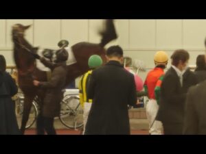 【閲覧注意】佐々木大輔騎手、馬に蹴られる