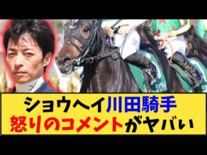 【競馬】「【きさらぎ賞】ショウヘイ騎乗の川田騎手 レース後コメントがヤバい」に対する反応【反応集】