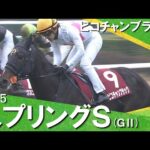 2025年 スプリングステークス (ＧⅡ) ピコチャンブラック【カンテレ公式】