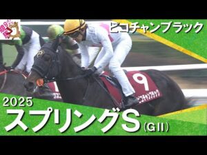 2025年 スプリングステークス (GⅡ) ピコチャンブラック【カンテレ公式】