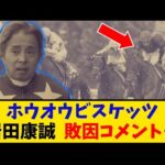 【札幌記念】「ホウオウビスケッツ 岩田康誠騎手 敗因コメント… 」に対するみんなの反応【反応集】