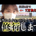 【修行編 #1】低投資で高額回収を狙う!?これまでの馬券の買い方を見直し、約1ヶ月間修行します。