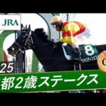 2025年 京都2歳ステークス（GⅢ） | 第12回 | JRA公式