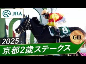 2025年 京都2歳ステークス(GⅢ) | ジャスティンビスタ | JRA公式