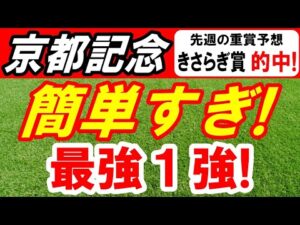 【 京都記念 2025 】 簡単すぎ！最強１頭！