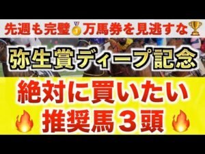 【弥生賞ディープ記念2026 予想】バリオス過去最高のデキ？プロが"全頭診断"から導く絶好の3頭！