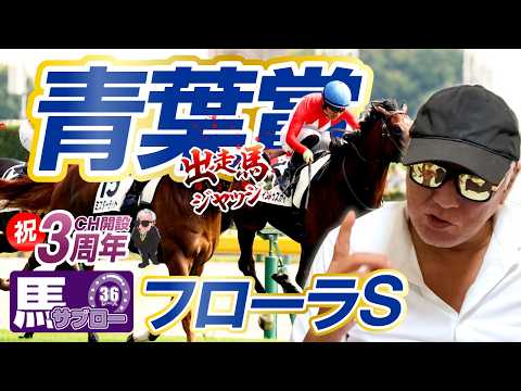 【2026 青葉賞】出走馬ジャッジ