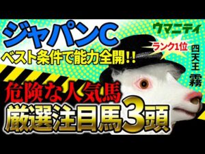 【ジャパンカップ2025】先週マイルCS◎○馬連1点勝負で的中!「霧プロ」の厳選注目馬&危険な人気馬を特別公開!