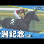 【 ゾロアストロがGⅠ馬5頭を撃破】2026年新潟記念(ＧⅢ) ゾロアストロ【カンテレ公式】