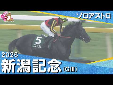 【 ゾロアストロがGⅠ馬5頭を撃破】2026年新潟記念(ＧⅢ) ゾロアストロ【カンテレ公式】