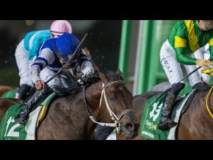 WATCH: 2025 Saudi Cup meeting, featuring Forever Young's epic win for Japan 🇯🇵 | #SaudiCup | サウジ カップ