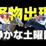【怪物は静かに現れる】重賞のない土曜日に潜む2頭