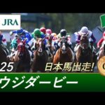 2025年 サウジダービー(G3)| JRA公式