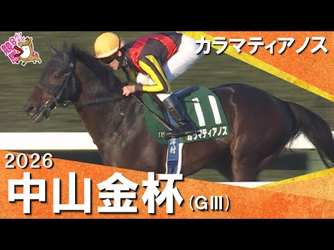 2026年中山金杯(ＧⅢ) カラマティアノス【カンテレ公式】
