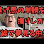 【夏競馬⚡️絶好調】府中牝馬ステークスまでの１週間日記／みずしん競馬Vrog