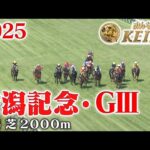 【新潟記念・GⅢ】新潟記念 新潟 芝 2000m 2025 レース  【みんなのKEIBA】