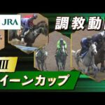 【調教動画】2026年 クイーンカップ｜JRA公式