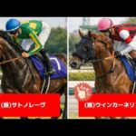 追い切り徹底解説！【高松宮記念2026】サトノレーヴ、ナムラクレアなどの状態はどうか？調教S評価は3頭！