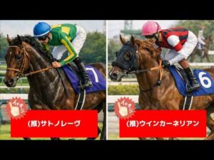 追い切り徹底解説！【高松宮記念2026】サトノレーヴ、ナムラクレアなどの状態はどうか？調教S評価は3頭！