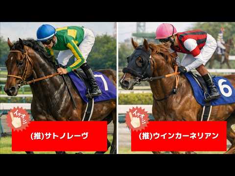 追い切り徹底解説！【高松宮記念2026】サトノレーヴ、ナムラクレアなどの状態はどうか？調教S評価は3頭！