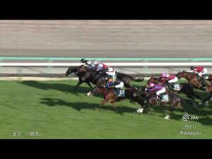 【レース映像】中山11R オーシャンS｜ペアポルックス（岩田康誠）｜ウイニング競馬