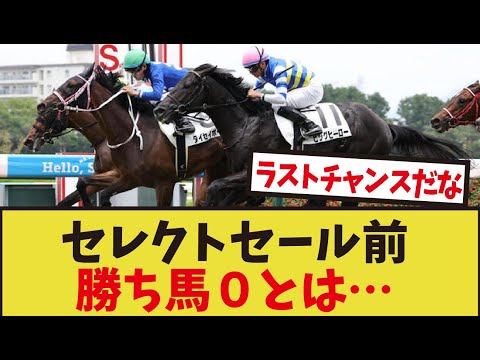 「コントレイル産駒が正直ここまで苦戦するとは…」に対するみんなの反応集