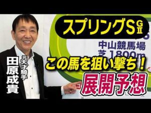 【スプリングS2026】元天才騎手・田原成貴が展開予想 この馬が勝ち切る!《東スポ競馬》