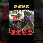 【新潟記念2026】オススメ穴馬/バレエマスター#新潟記念 #バレエマスター #競馬 #競馬予想 #競馬予想tv #中央競馬予想