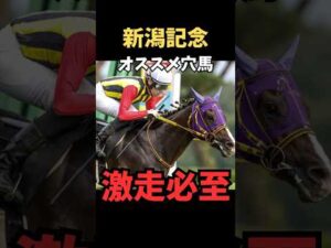 【新潟記念2026】オススメ穴馬/バレエマスター#新潟記念 #バレエマスター #競馬 #競馬予想 #競馬予想tv #中央競馬予想
