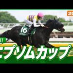 【レース映像】東京11R エプソムカップ|セイウンハーデス(幸英明)|ウイニング競馬