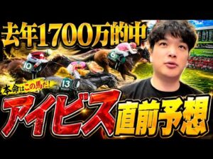 【新潟千着】1番自信があるアイビスサマーダッシュの直前予想を公開します。
