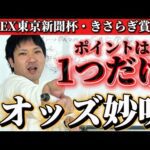 【競馬予想】東京新聞杯は得意なんだよ！！！