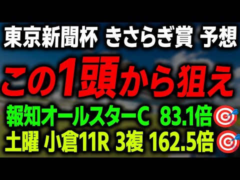 【東京新聞杯 きさらぎ賞 2026 最終予想】東西重賞の本命馬と最終買い目を徹底解説します