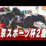 【レース映像】東京11R 東京スポーツ杯2歳ステークス（GII）｜パントルナイーフ（C.ルメール）｜ウイニング競馬