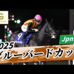 2025年 ブルーバードカップJpnIII｜第51回｜NAR公式