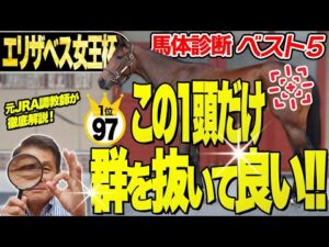 【エリザベス女王杯2025】中村均元調教師が馬体診断ベスト５を発表　２位との点差がなんと3点！『抜群にいい』１頭とは？《東スポ競馬》