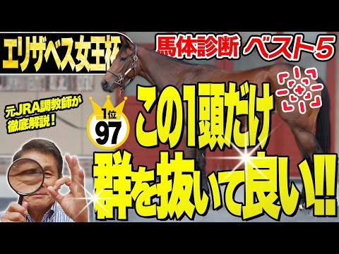 【エリザベス女王杯2025】中村均元調教師が馬体診断ベスト5を発表 2位との点差がなんと3点!『抜群にいい』1頭とは?《東スポ競馬》