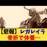 【競馬】「【悲報】レガレイラ    骨折で休養…」に対する反応【反応集】