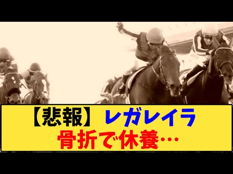 【競馬】「【悲報】レガレイラ    骨折で休養…」に対する反応【反応集】