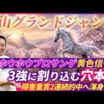 【中山グランドJ】3強の中から1頭軽視!?隠れ能力上位の穴本命で皐月賞の資金作り！
